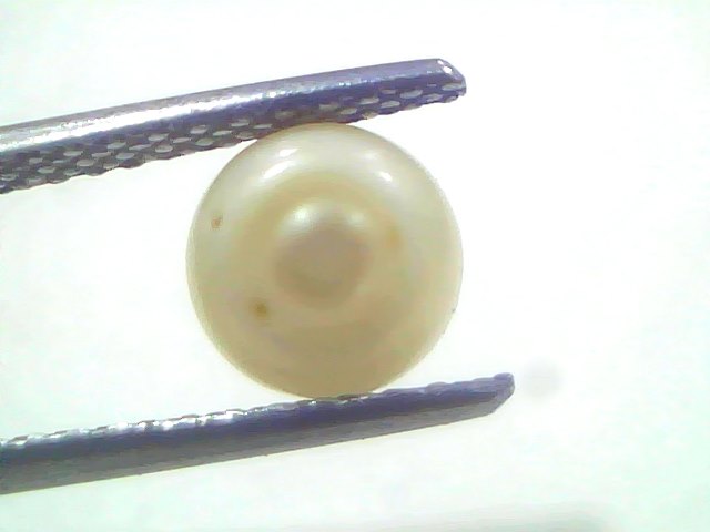 1.83 Ct 2.18 Chaw Natural Basra Pearl Real Basra Moti Certified