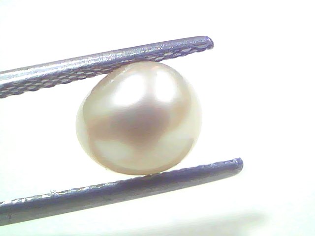 2.34 Ct 3.56 Chaw Natural Basra Pearl Real Basra Moti Certified
