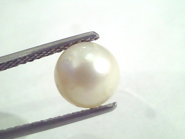 4.70 Ct Natural Certified Real South Sea Pearl,Certified Moti