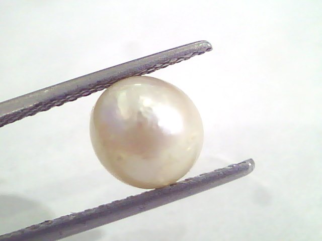 4.79 Ct Natural Certified Real South Sea Pearl,Certified Moti