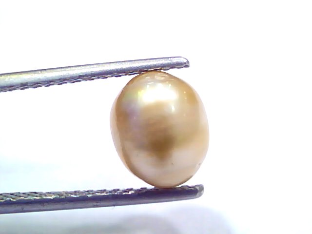 3.43 Ct 7.66 Chaw Natural Real Basra Pearl Moti Certified *RARE