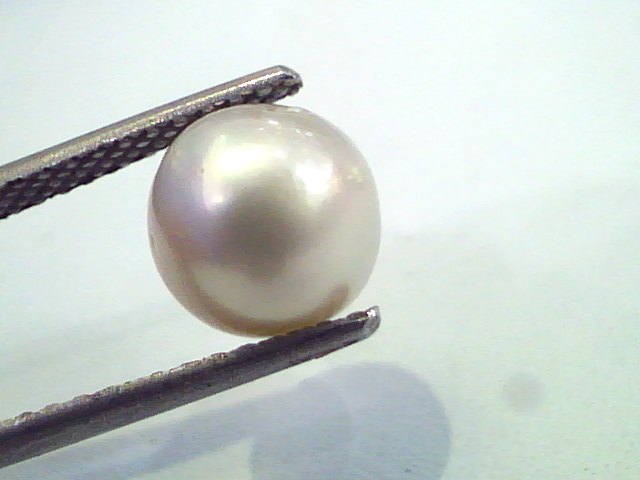 4.88 Carat Natural Certified Real South Sea Pearl,Certified Moti
