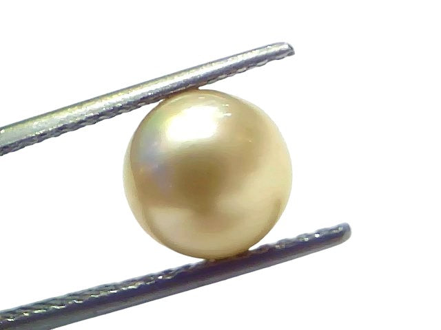 5.14 Ct Natural Certified Real South Sea Pearl Certified Moti