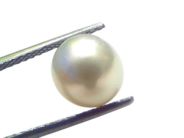 5.32 Ct Natural Certified Real South Sea Pearl Certified Moti
