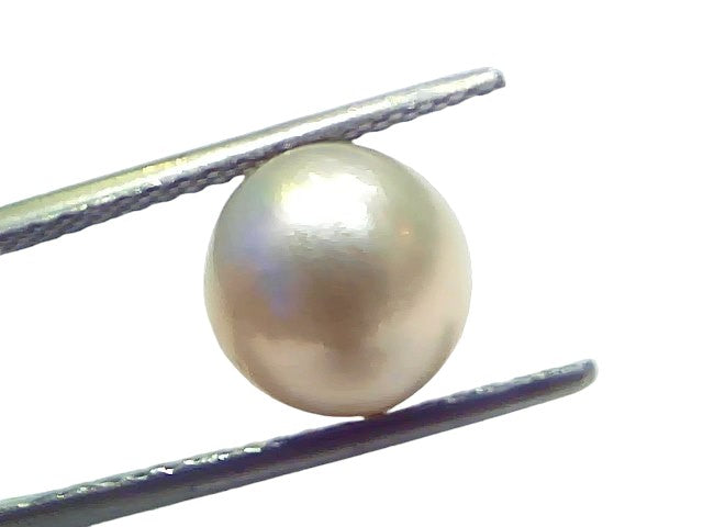 5.44 Ct Natural Certified Real South Sea Pearl Certified Moti