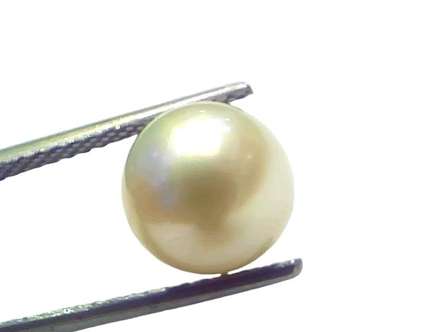 5.99 Ct Natural Certified Real South Sea Pearl Certified Moti