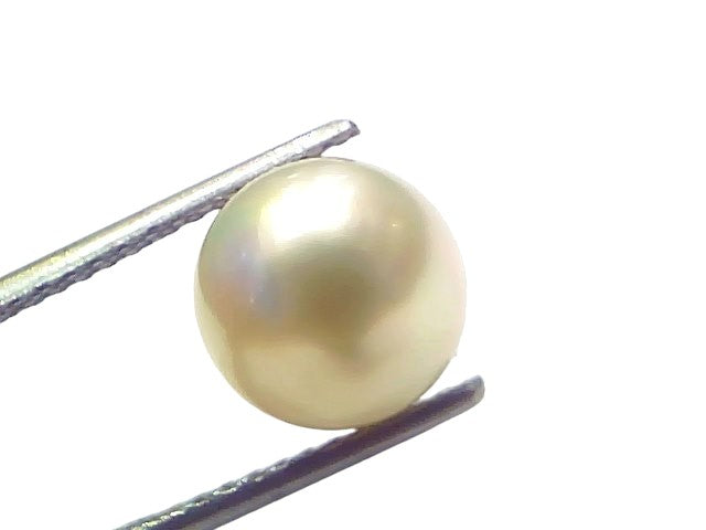 6.27 Ct Natural Certified Real South Sea Pearl Certified Moti