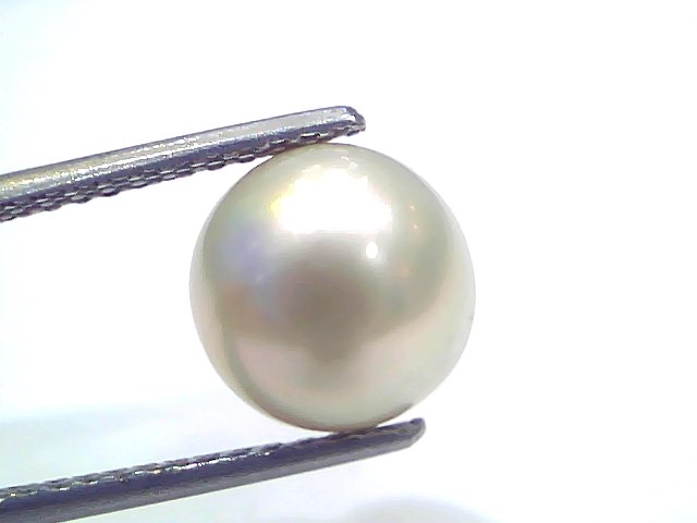 6.44 Ct Natural Certified Real South Sea Pearl Certified Moti