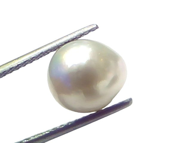 6.55 Ct Natural Certified Real South Sea Pearl Certified Moti