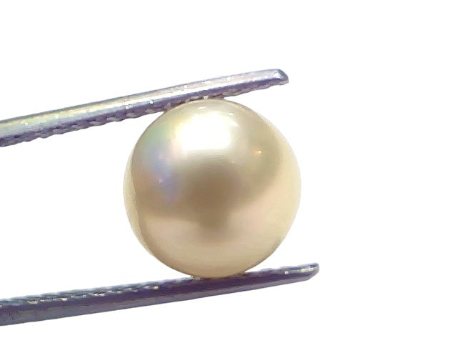 6.57 Ct Natural Certified Real South Sea Pearl Certified Moti