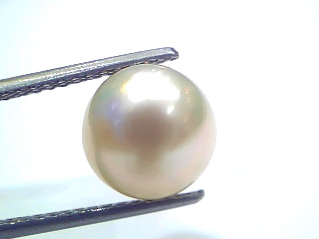 6.63 Ct Natural Certified Real South Sea Pearl Certified Moti