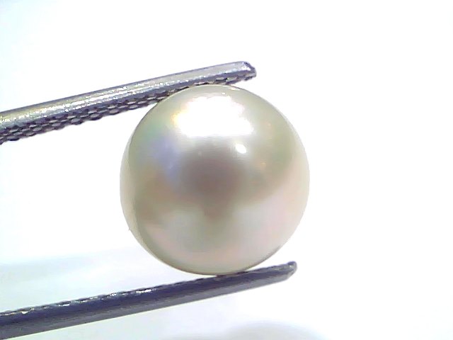 6.72 Ct Natural Certified Real South Sea Pearl Certified Moti