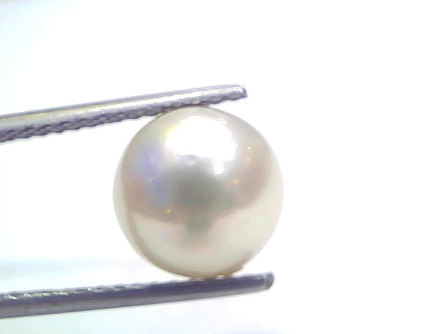 6.80 Ct Natural Certified Real South Sea Pearl Certified Moti